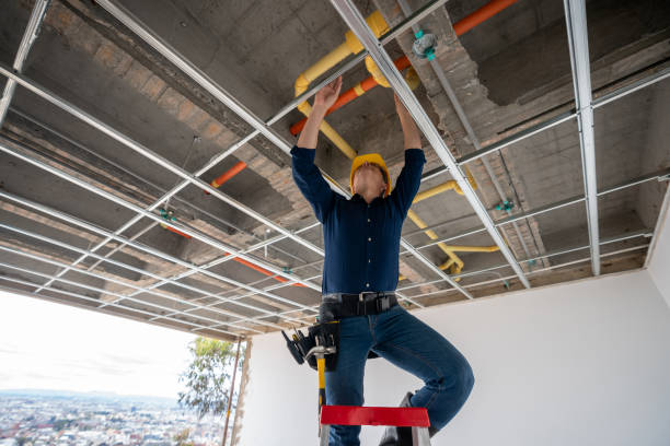 Best Water Leak Repair  in Beecher, IL