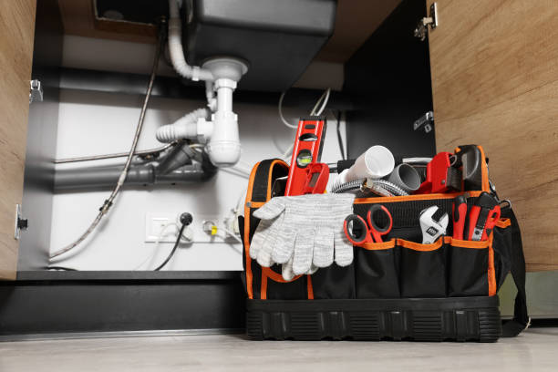 Best Residential Plumbing Services  in Beecher, IL