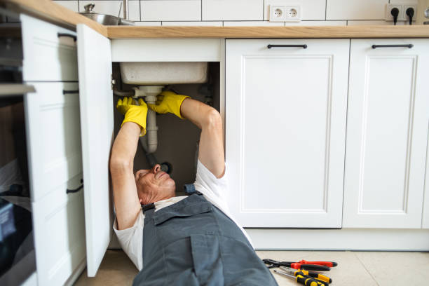 Best Commercial Plumbing Services  in Beecher, IL