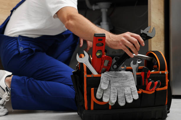 Best Emergency Plumber  in Beecher, IL